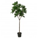 Kunstplant Magnolia incl. grijze stenen pot